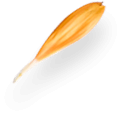 imgpsh_fullsize_anim-5.png